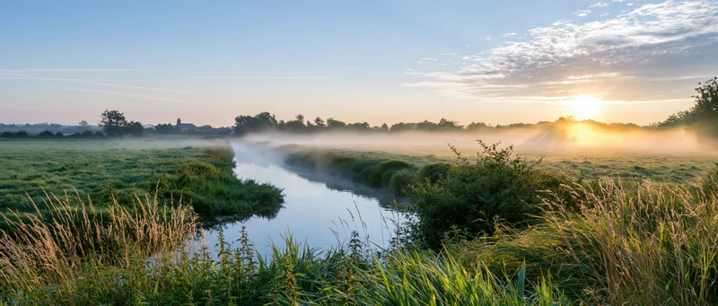Misty river winding through green meadow at sunrise