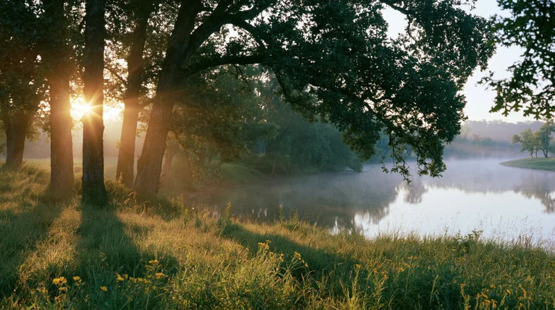 Sunrise over misty lake surrounded by trees and grassy shore