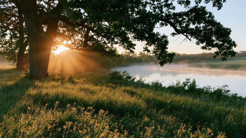 Sunrise over misty riverbank with trees and wildflowers in a grassy meadow