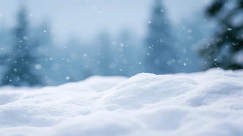 Snow-covered ground with falling snowflakes in a forested winter landscape