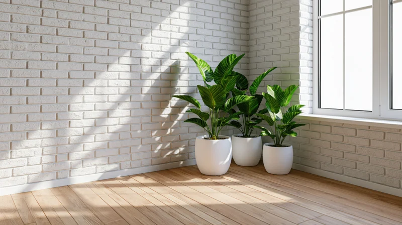 Three potted green plants in white ceramic pots arranged in a corner by a window with sunlight casting shadows on a white brick wall and wooden floor