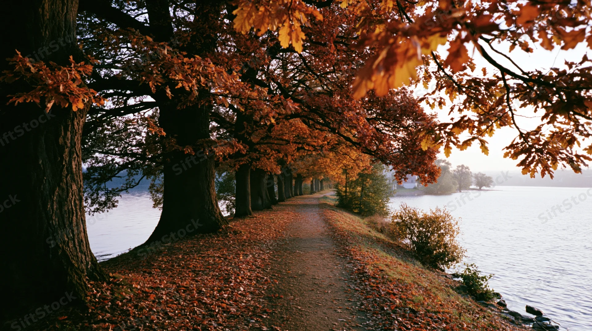 Autumn trees lining a path beside a lake with fallen leaves covering the ground