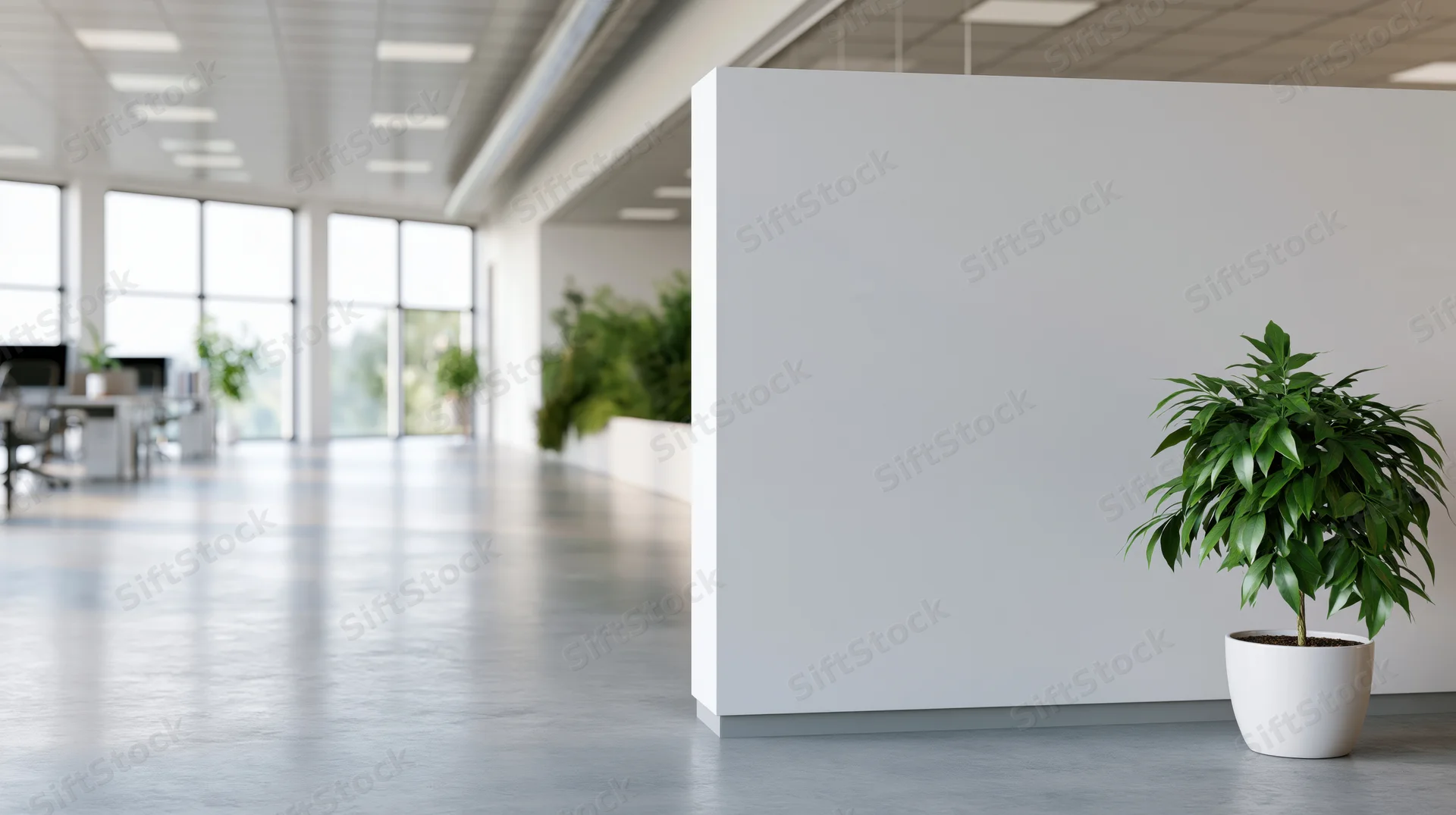 Potted plant beside white partition in modern office interior with desks and windows in background