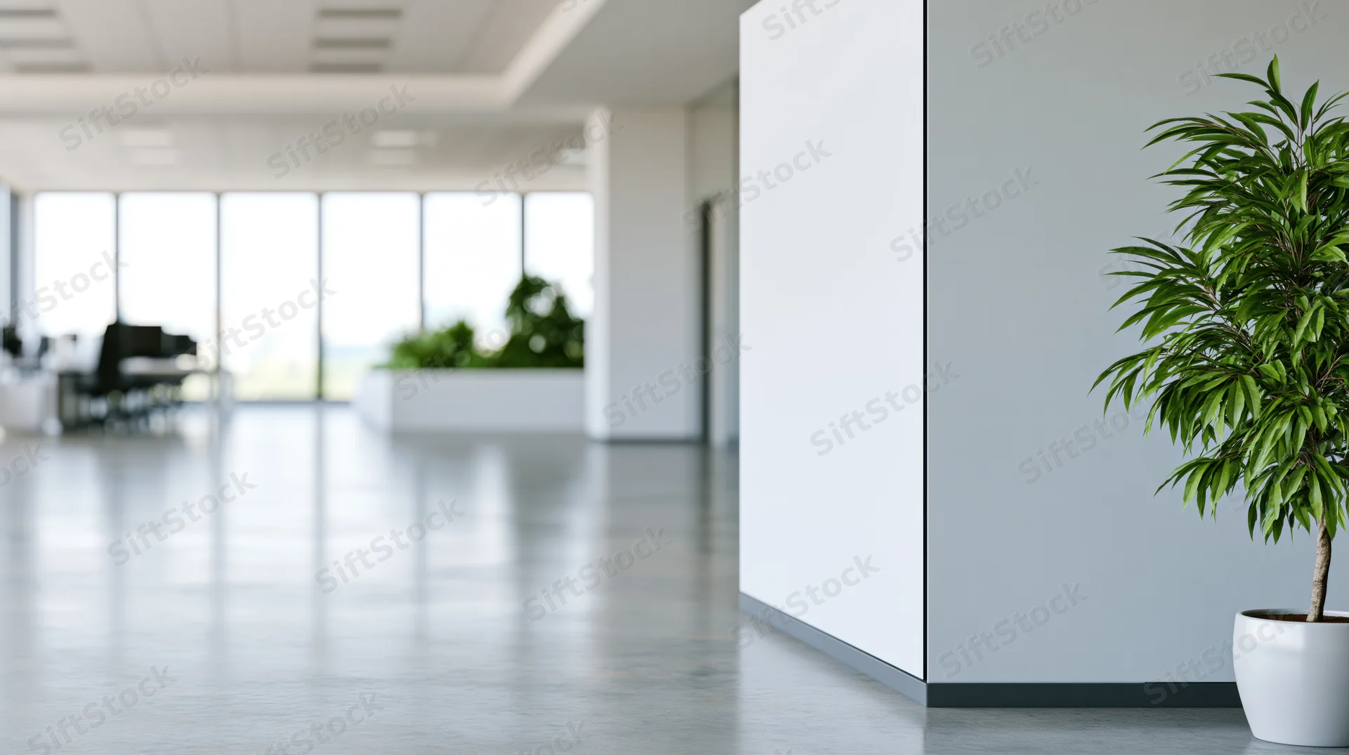 Potted plant in white pot near blank white wall in modern office interior