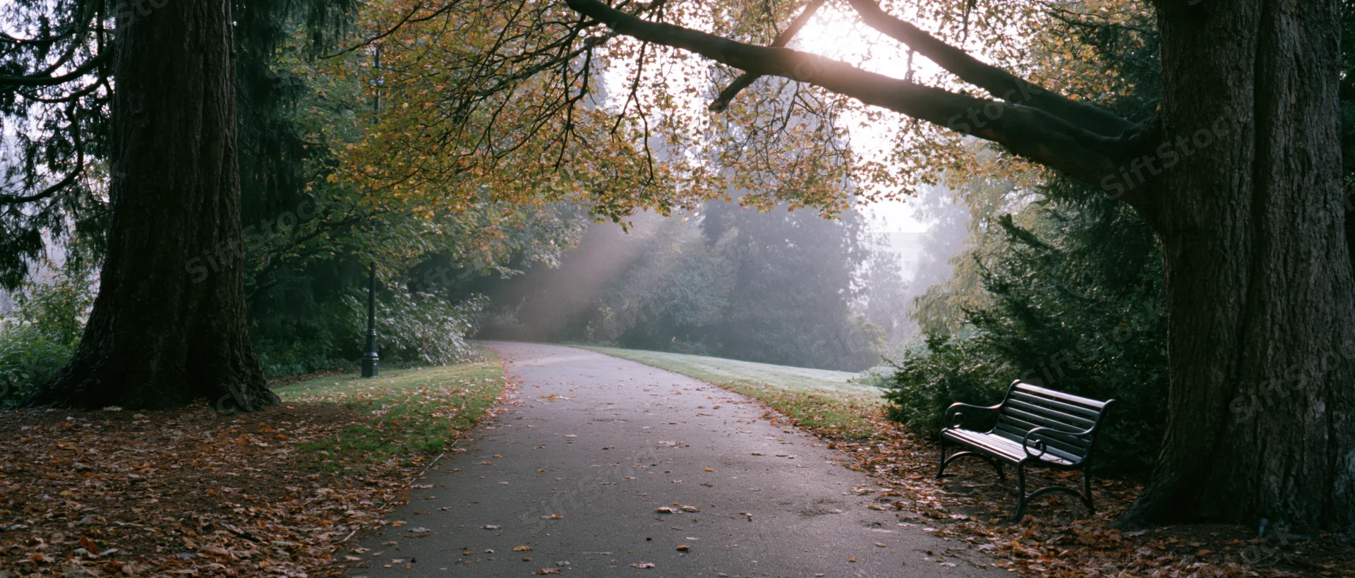 A quiet park path lined with autumn trees and a bench under dappled morning sunlight