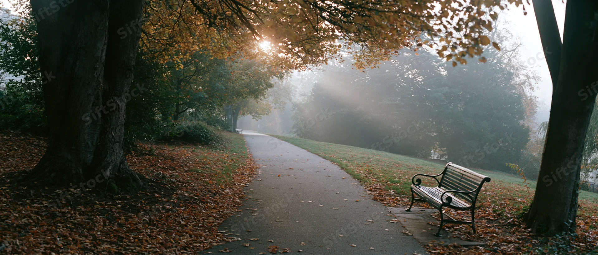 Empty bench on a leaf-strewn pathway in a foggy autumn park at sunrise