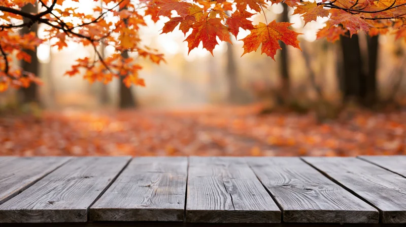 Wooden table with autumn maple leaves overhead in a forest setting