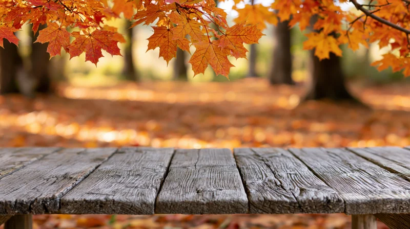 Wooden bench in autumn park with maple leaves overhead and fallen foliage on path