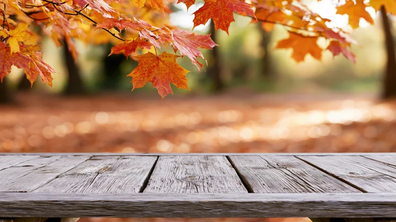 Weathered wooden table under autumn maple leaves in a park setting with copyspace