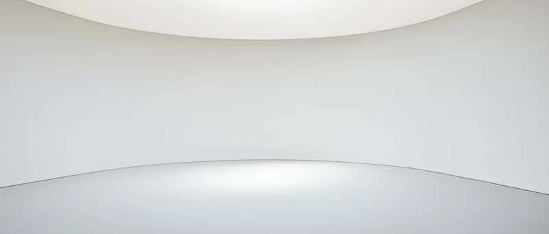 Curved white walls and ceiling forming an empty minimalist interior space with smooth floor and soft ambient lighting