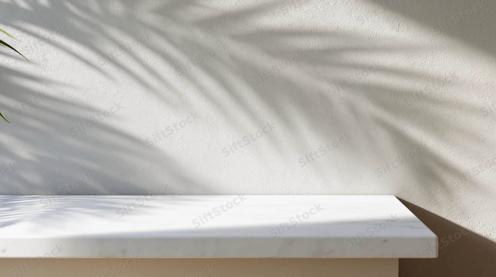 White marble shelf against a textured wall with palm leaf shadows in natural sunlight