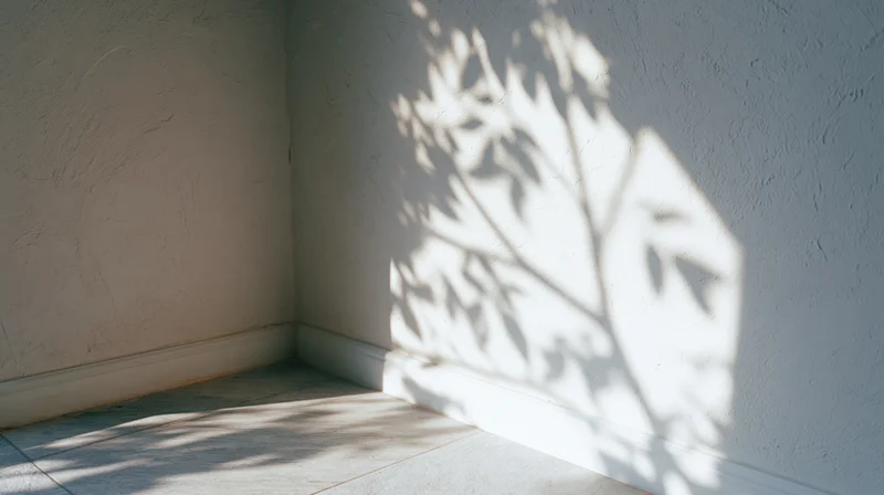 Sunlight casting leaf shadows on white textured walls in a quiet interior corner
