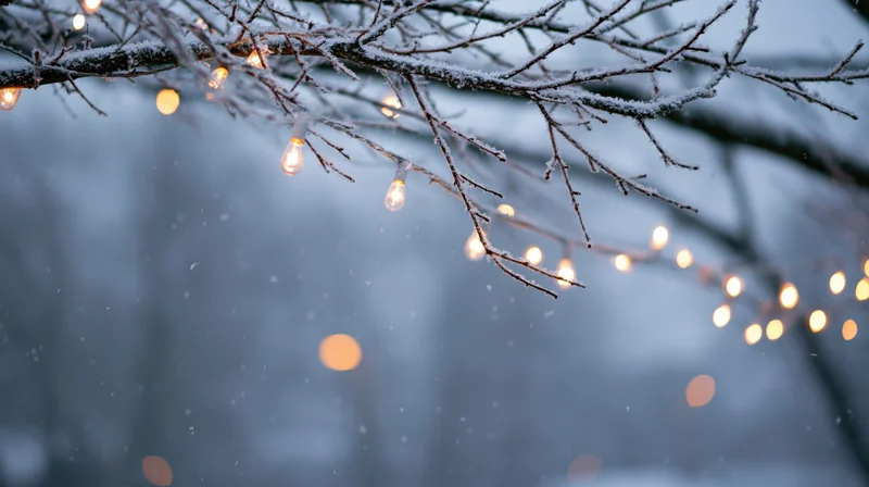 Snow-covered tree branches with glowing string lights during winter evening