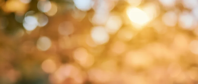 Blurred golden bokeh lights from sunlight filtering through autumn foliage in a forest setting