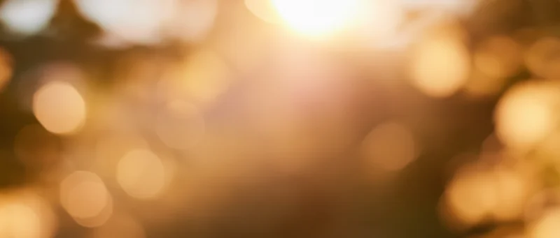 Golden bokeh light effect with soft glow and warm blur in natural outdoor setting during golden hour