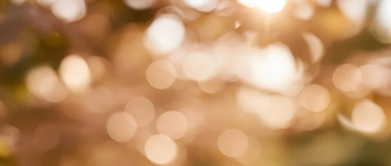 Golden bokeh light filtering through blurred autumn foliage in a forest at sunset
