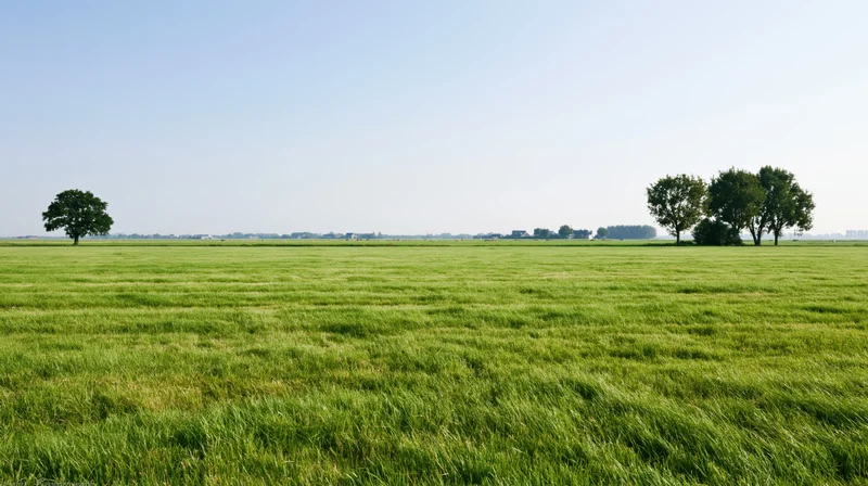Expansive green field with scattered trees under clear blue sky in rural countryside
