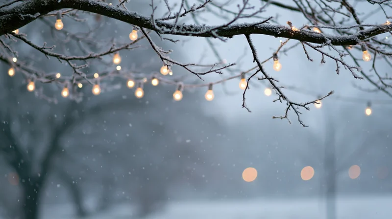 Snow-covered tree branches with string lights glowing softly in winter evening outdoors