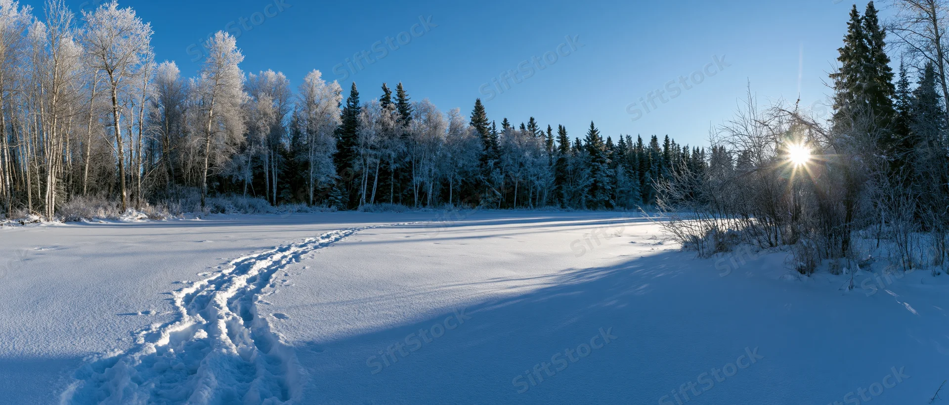 Footprints in snow leading across a frozen lake toward a frost-covered forest under clear blue sky at sunrise