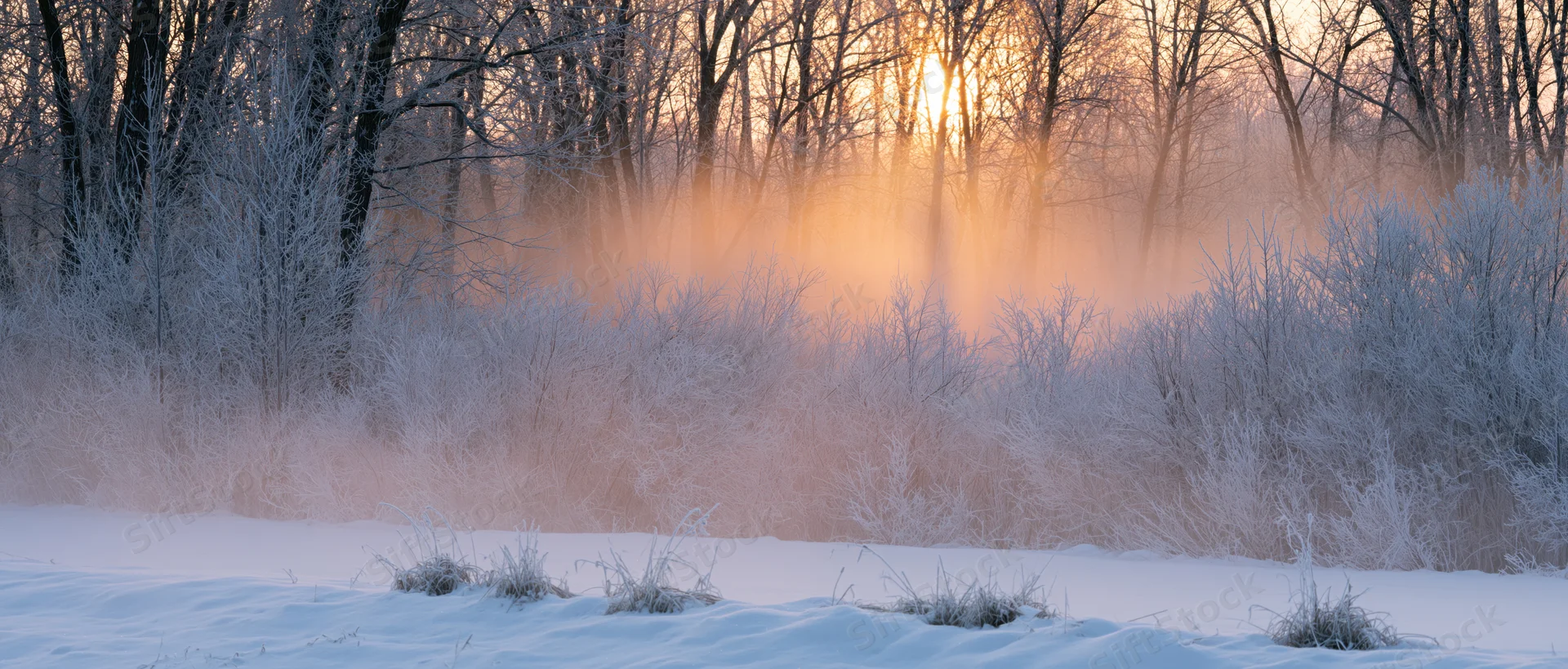 Frost-covered trees and shrubs in a snowy forest at sunrise with mist rising from the ground