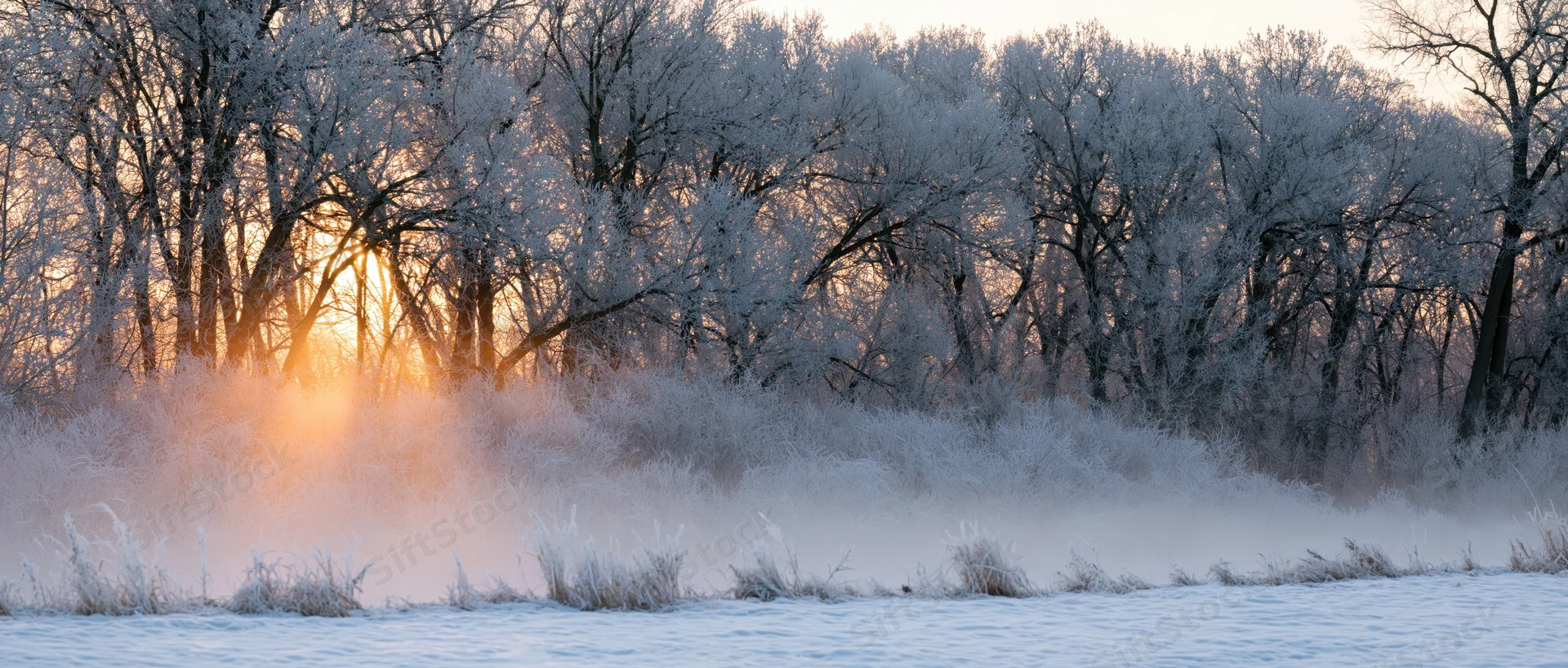 Frost-covered trees lining a snowy riverbank at sunrise