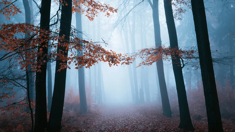 Autumn forest path covered in fallen leaves with foggy atmosphere and orange foliage on bare trees
