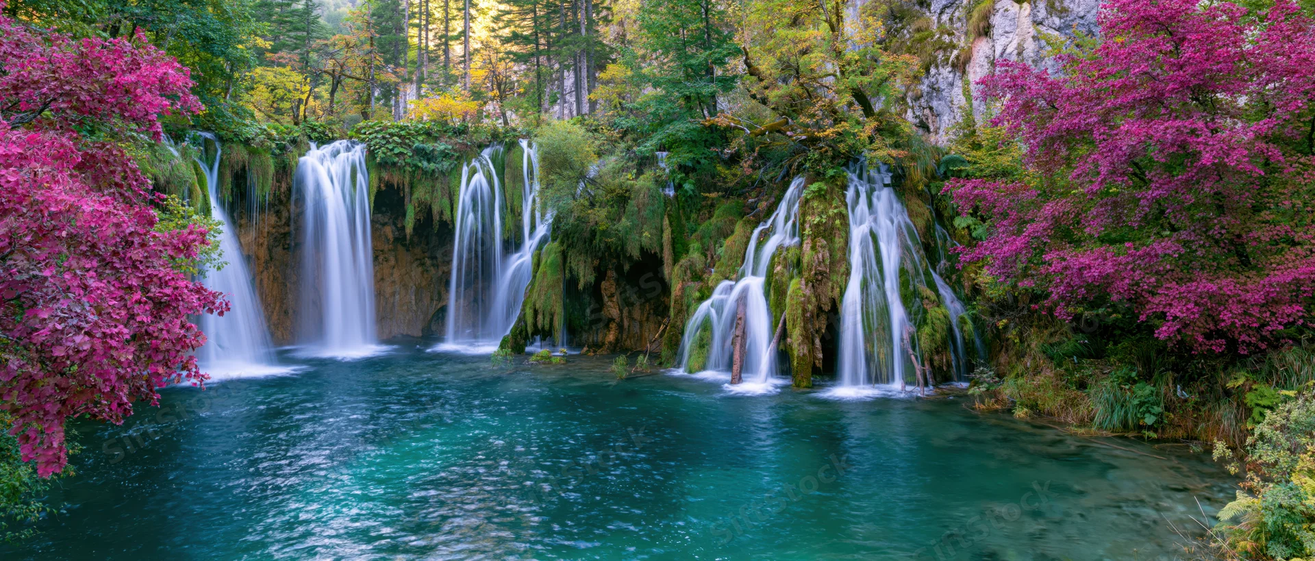 Multiple waterfalls cascading into a turquoise pool surrounded by flowering bushes and forested cliffs