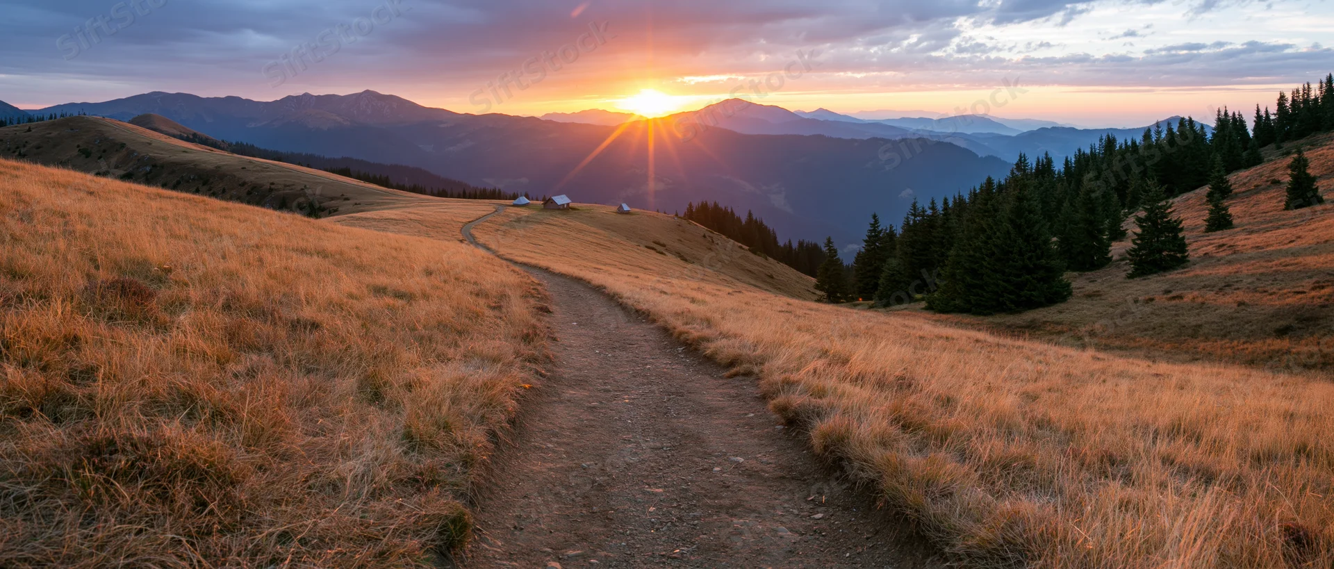 Winding dirt path through golden grassy meadow leading toward distant mountains at sunrise