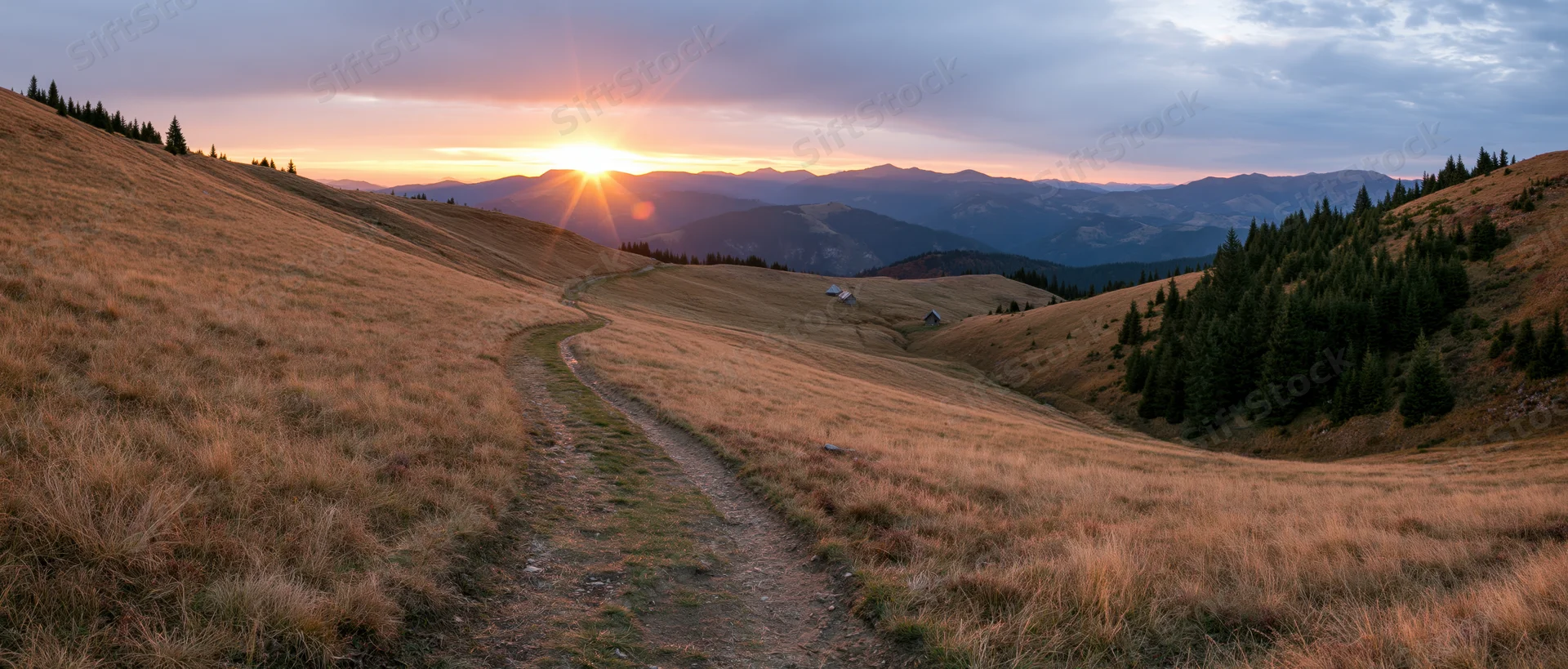 Winding dirt path through golden grassy hills at sunset with distant mountains and forested slopes