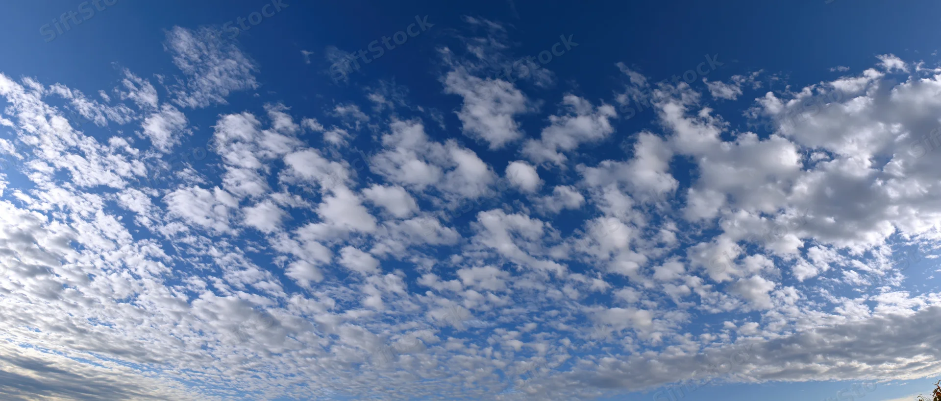 Scattered white cumulus clouds across a deep blue sky in panoramic view