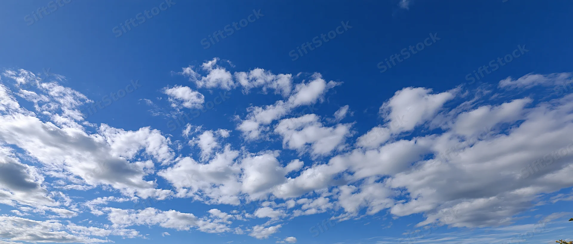 Scattered white cumulus clouds floating across a clear blue sky in panoramic view