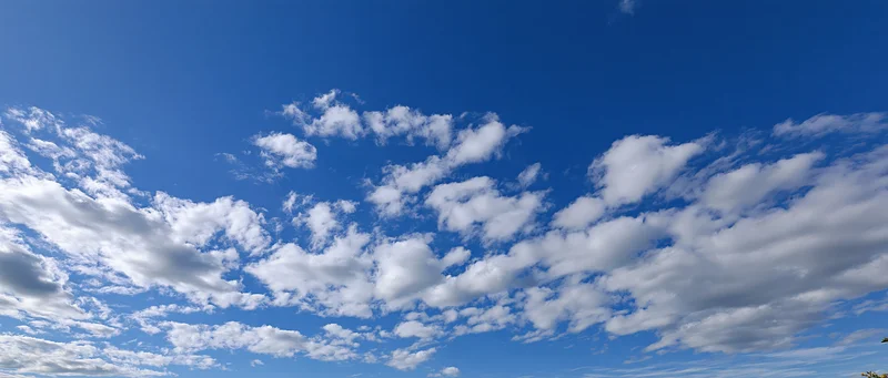 Scattered white cumulus clouds floating across a clear blue sky in panoramic view