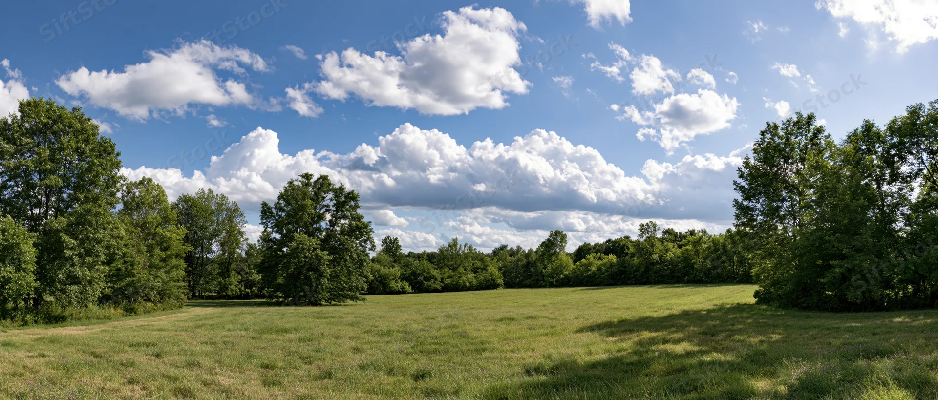 Open grassy field bordered by trees under a blue sky with white clouds