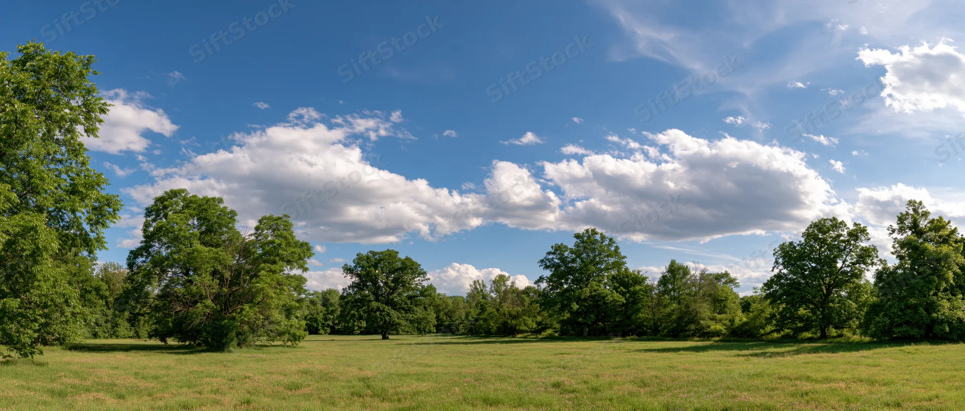 Wide open grassy field bordered by green trees under a blue sky with scattered white clouds
