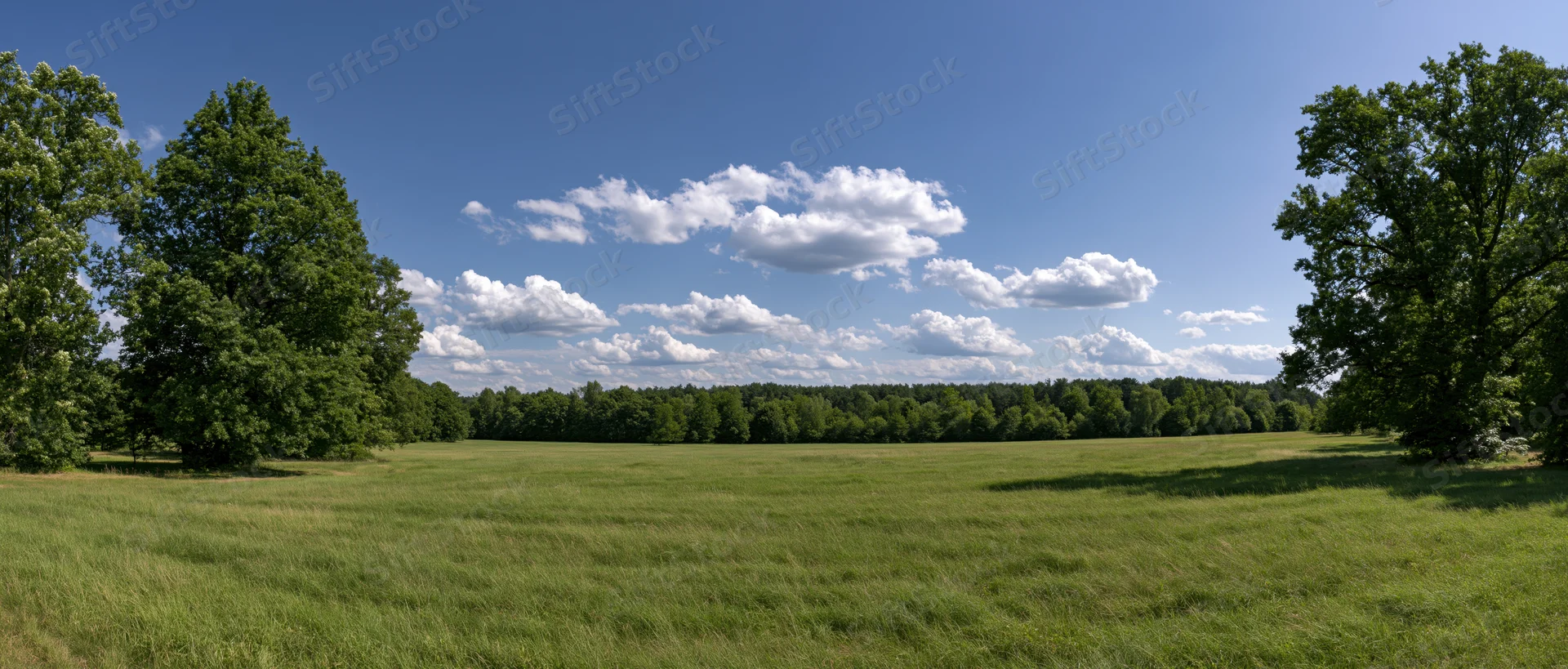 Wide grassy field bordered by trees under a blue sky with scattered clouds