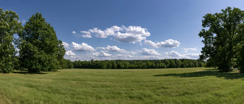 Wide grassy field bordered by trees under a blue sky with scattered clouds