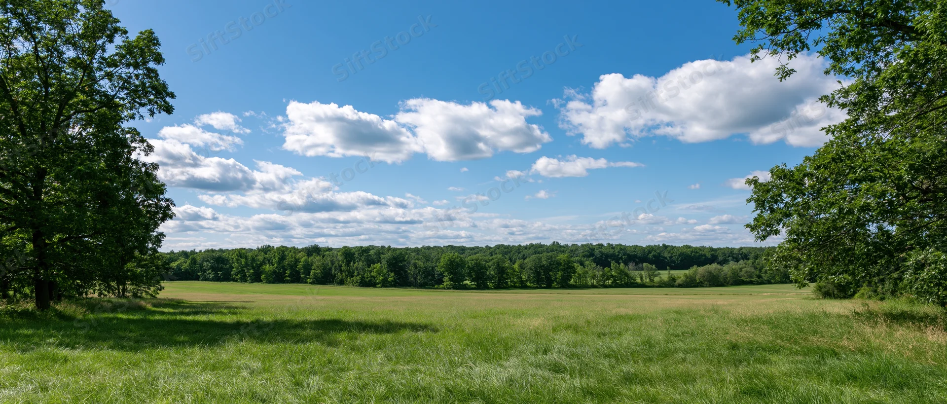 Open grassy field bordered by trees under a blue sky with scattered clouds
