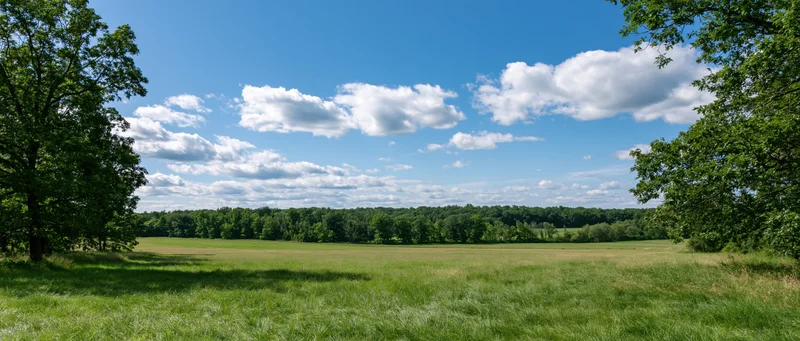 Open grassy field bordered by trees under a blue sky with scattered clouds