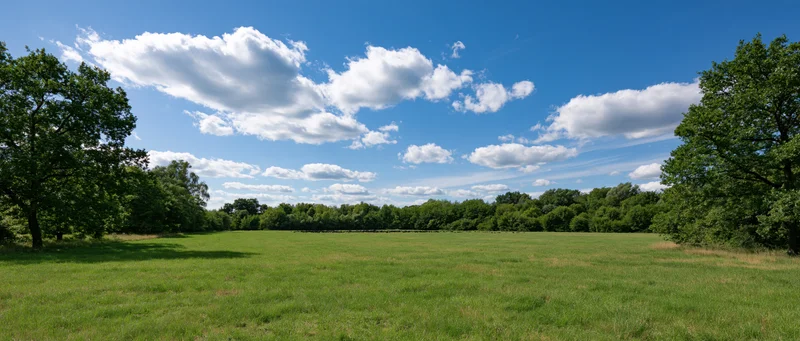 Wide grassy field bordered by trees under a blue sky with scattered clouds