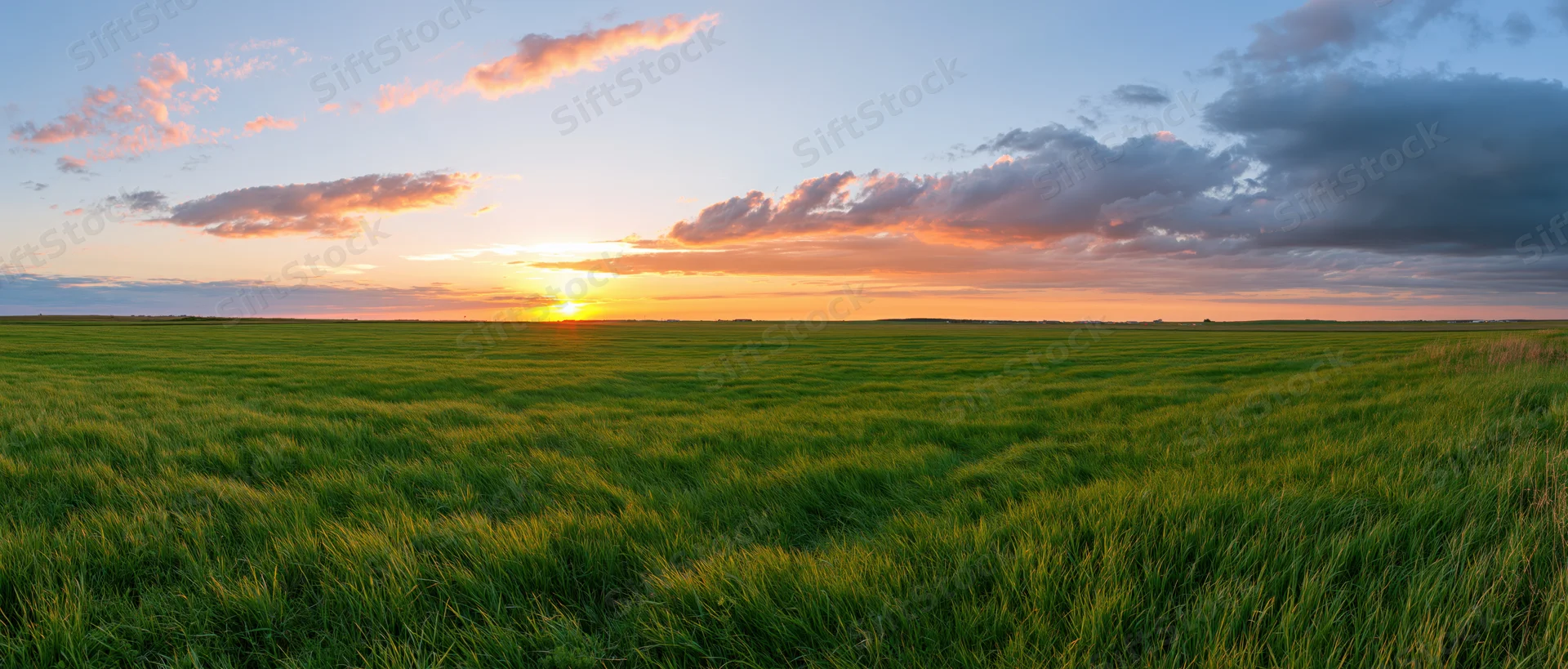 Expansive green field under a colorful sunset sky at horizon