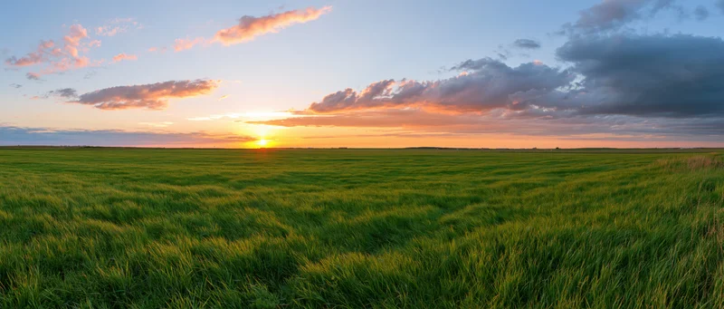 Expansive green field under a colorful sunset sky at horizon