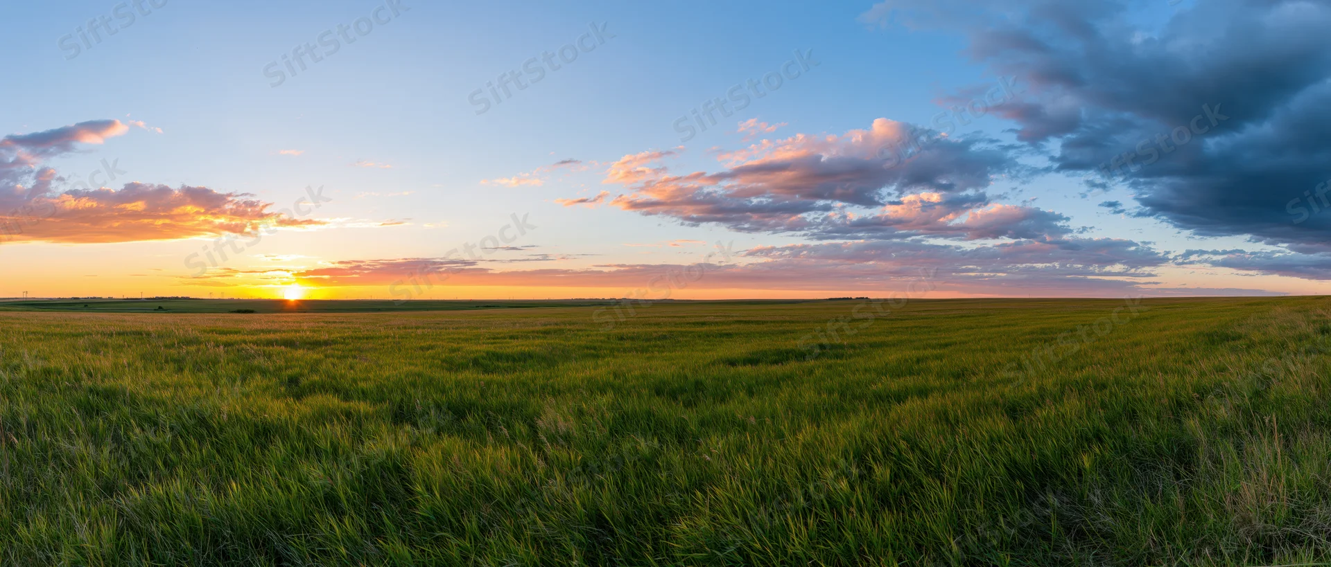 Expansive grass field under a colorful sunset sky at twilight