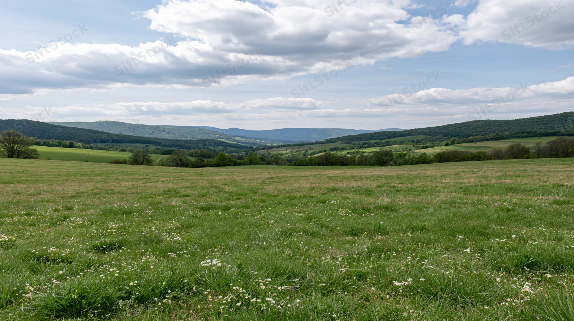 Expansive grassy meadow with wildflowers and rolling hills under a cloudy sky