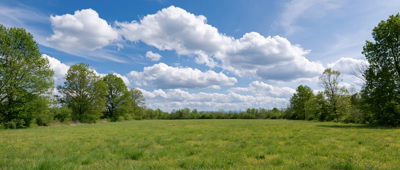 Wide grassy meadow bordered by trees under a blue sky with white clouds