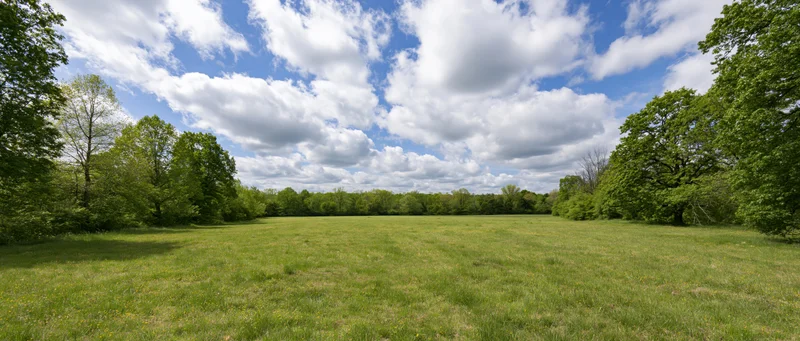 Open grassy meadow bordered by trees under a partly cloudy blue sky