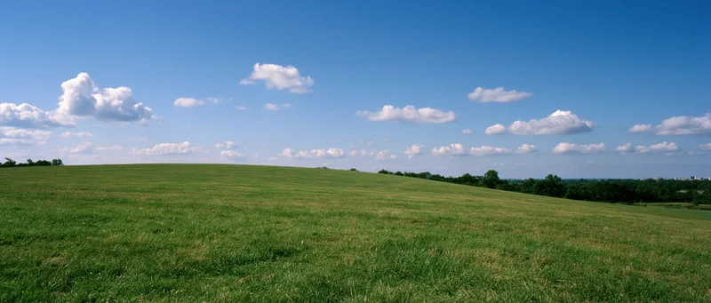 Expansive green field under a blue sky with scattered clouds, stretching toward a distant tree-lined horizon