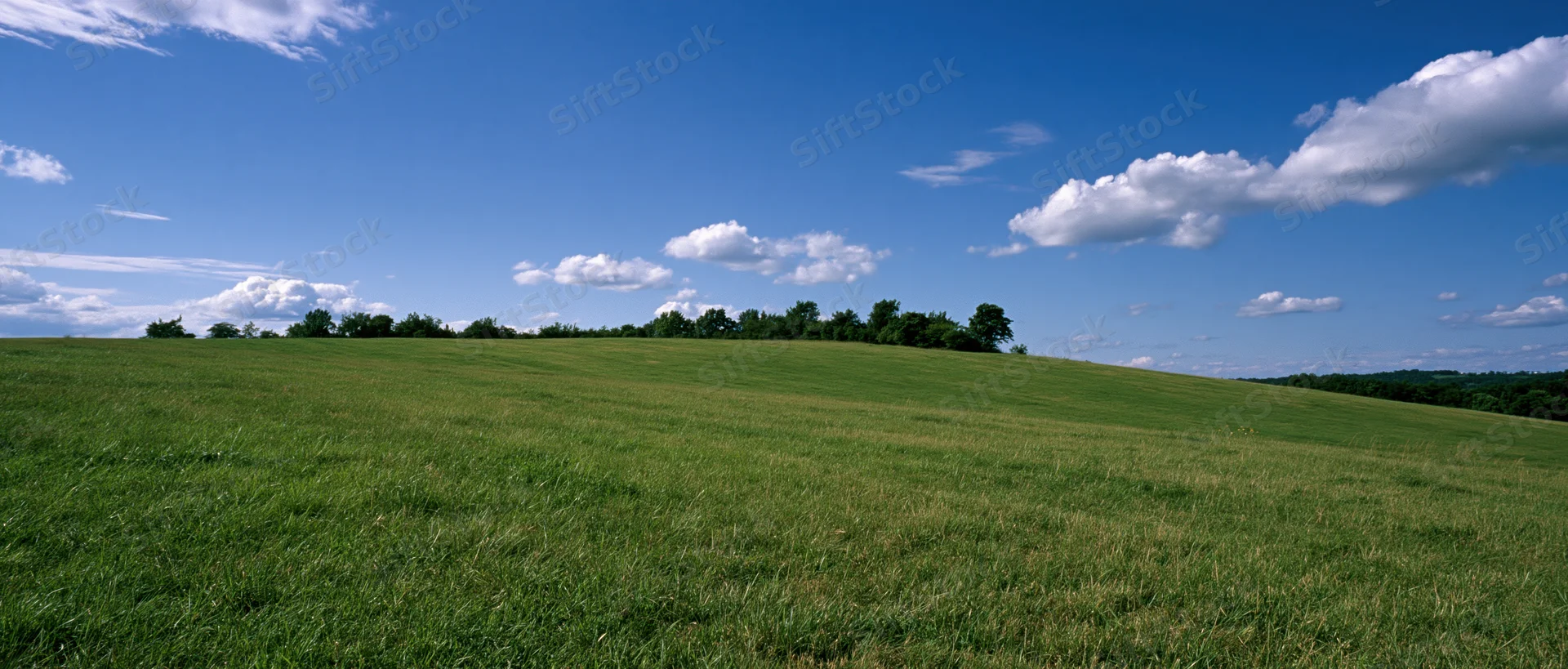 Expansive green field under a blue sky with scattered white clouds, bordered by trees on a gentle hill in the countryside