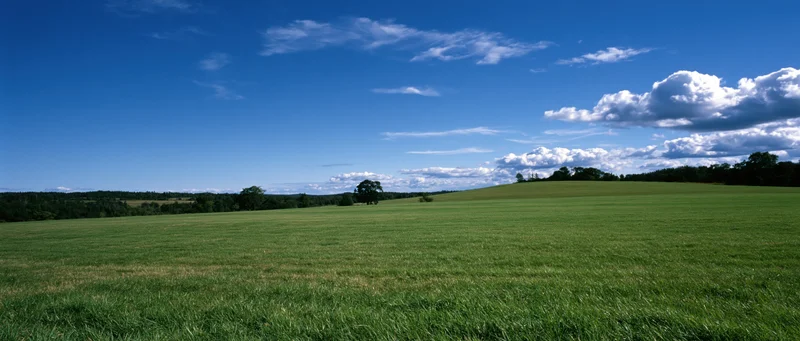 Expansive green field under a bright blue sky with scattered white clouds, rolling hills in the distance