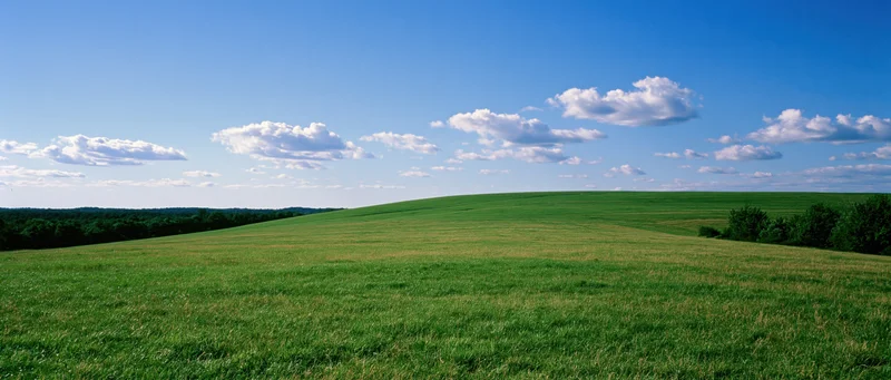 Rolling green field under a blue sky with scattered clouds in a rural landscape