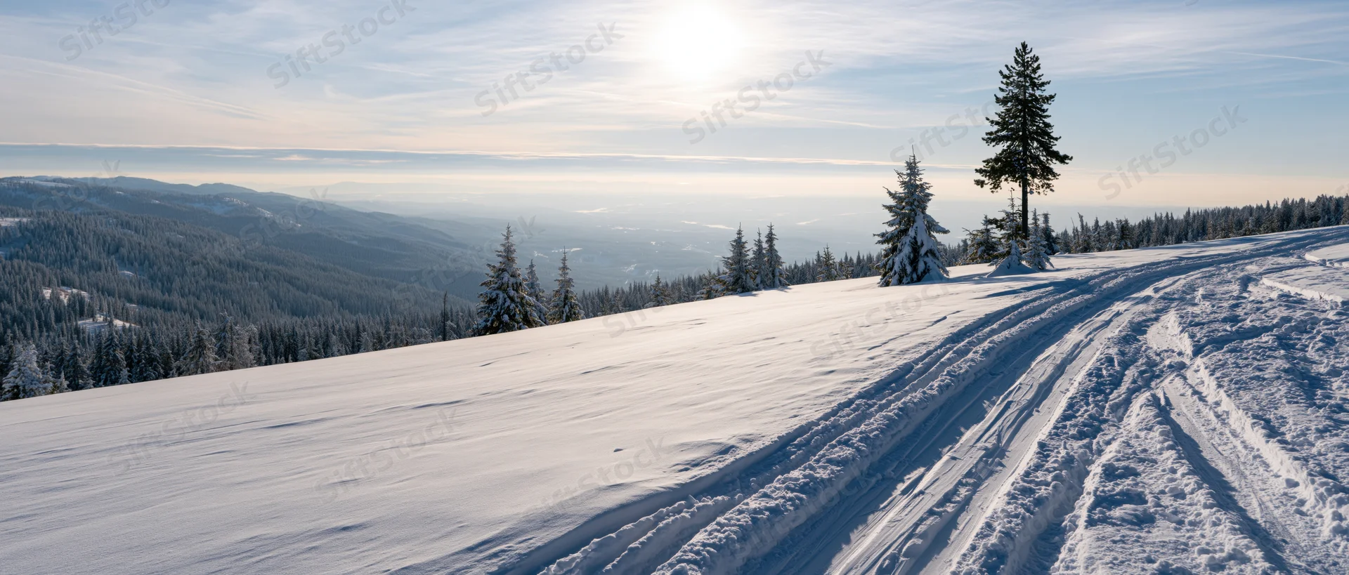 Snow-covered mountain slope with ski tracks and evergreen trees overlooking a valley under a bright sun